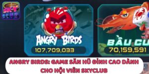Angry Birds